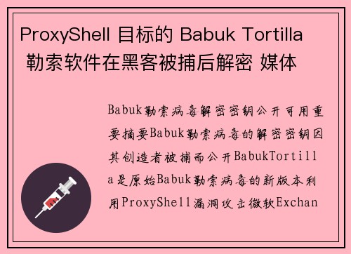 ProxyShell 目标的 Babuk Tortilla 勒索软件在黑客被捕后解密 媒体